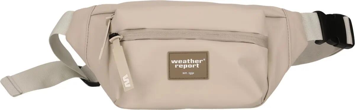 WEATHER REPORT picture