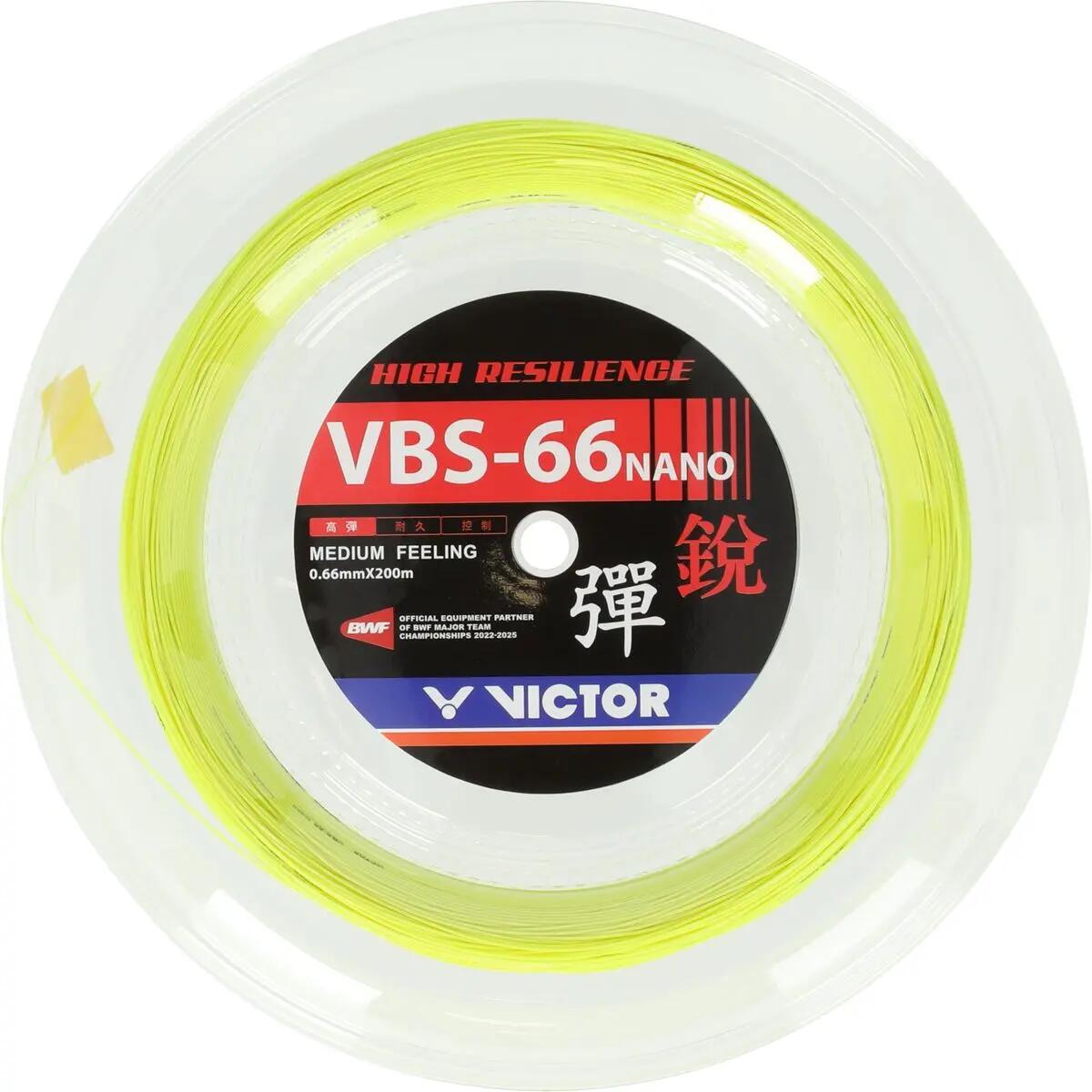 VICTOR picture
