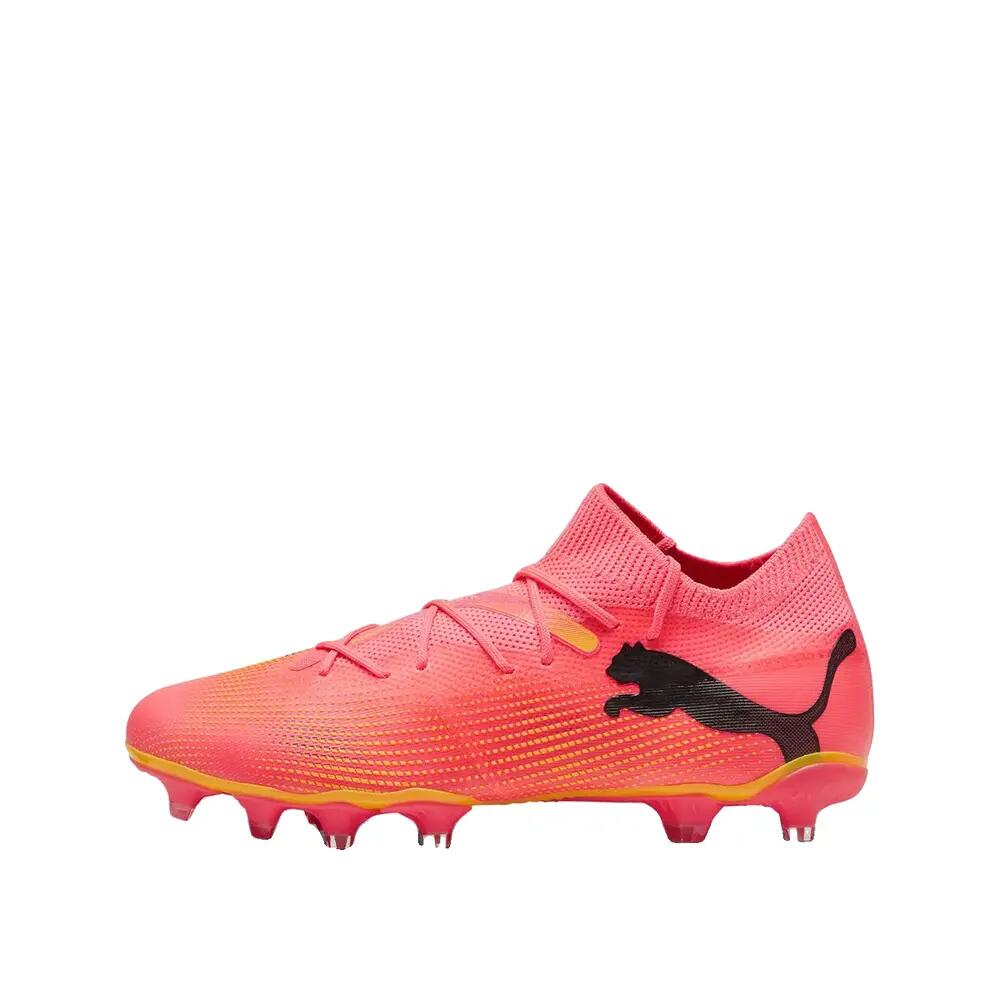 PUMA picture