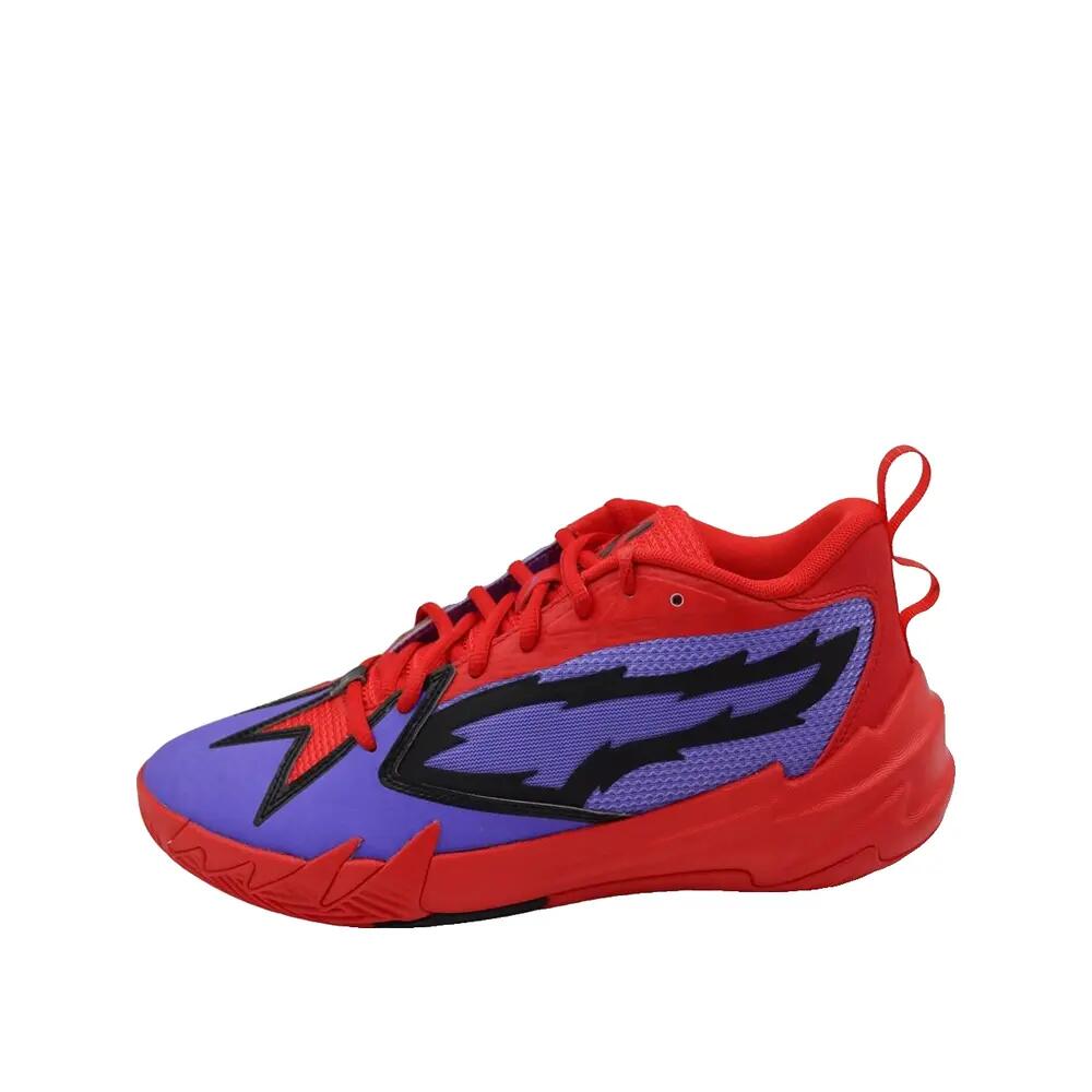 PUMA picture