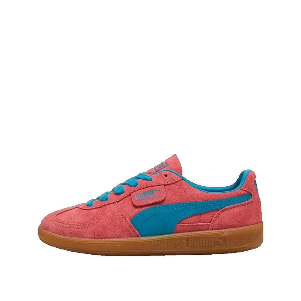 PUMA picture