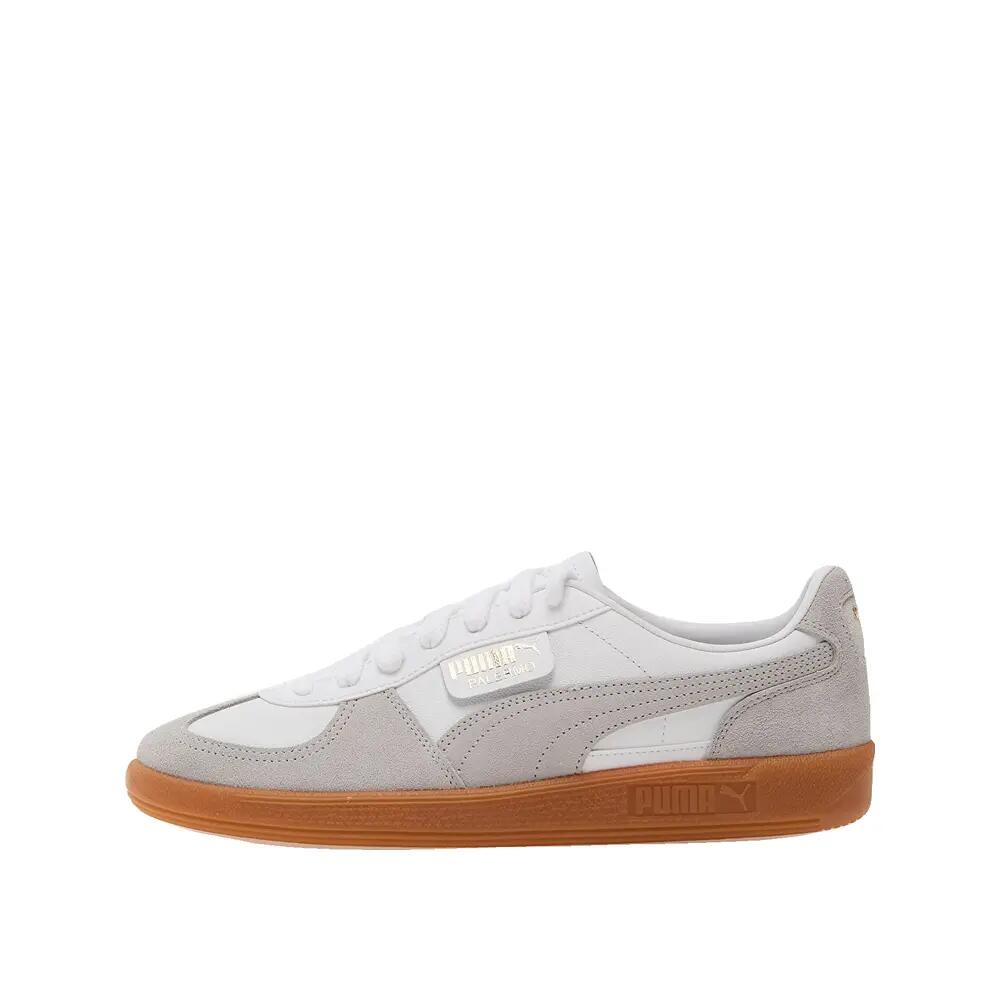 PUMA picture