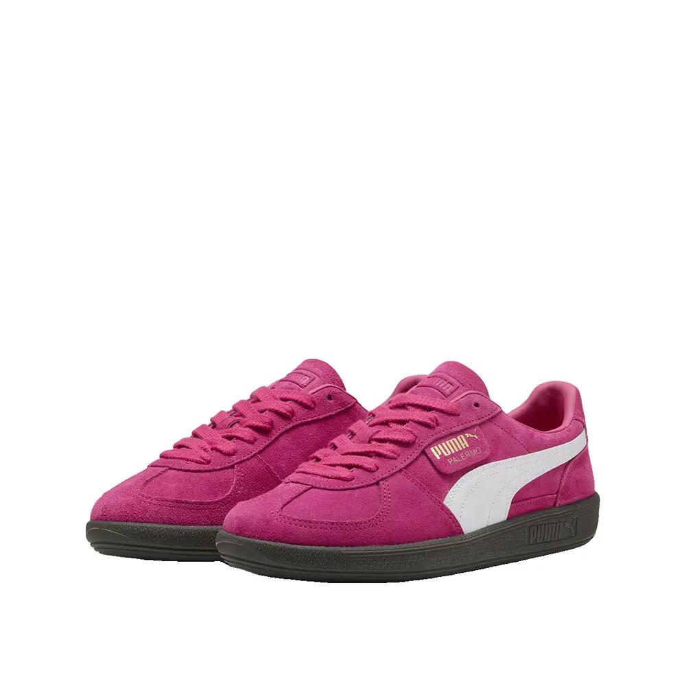 PUMA picture