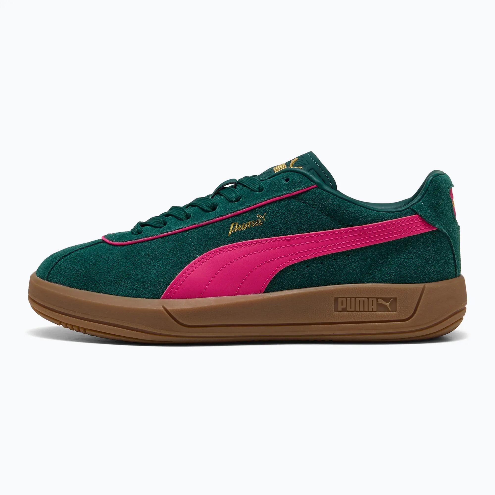 PUMA picture