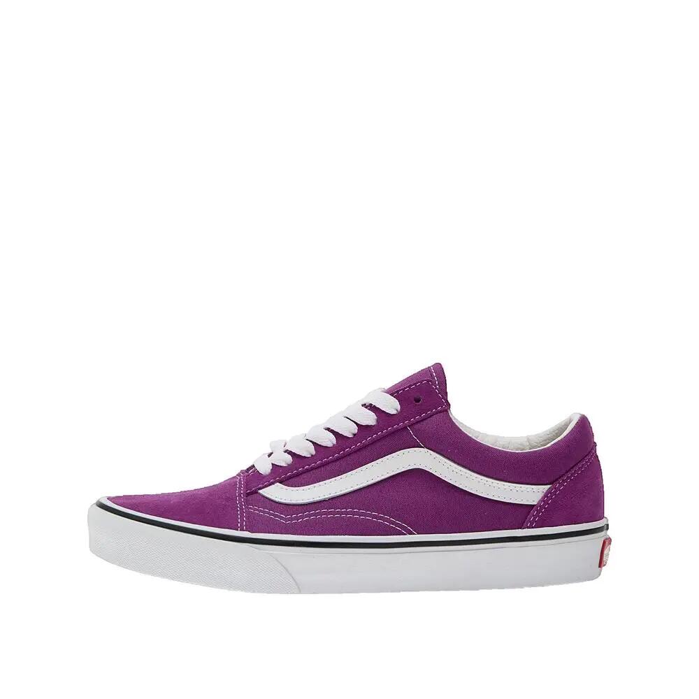 VANS picture