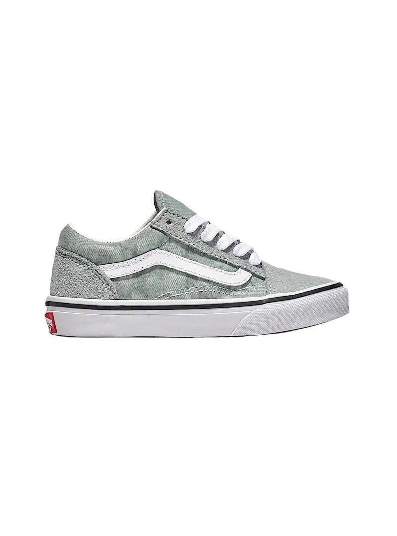 VANS picture