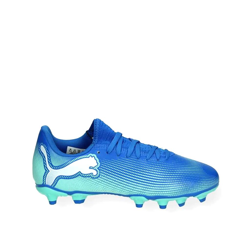 BLUE / WHITE