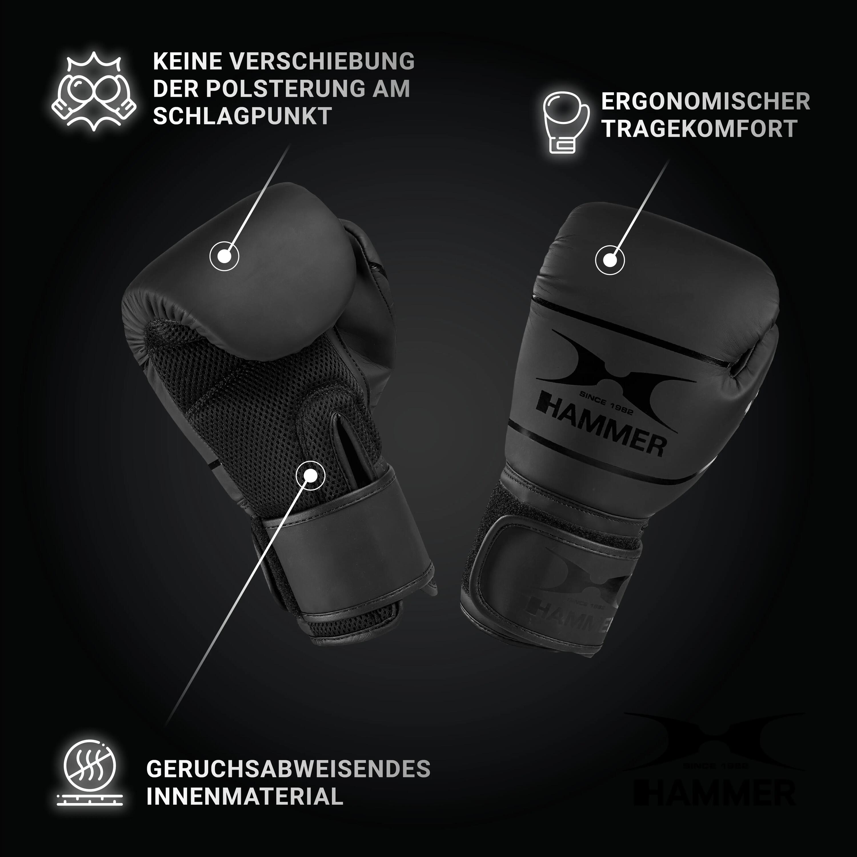 Box-Set Sparring Professional 6/6