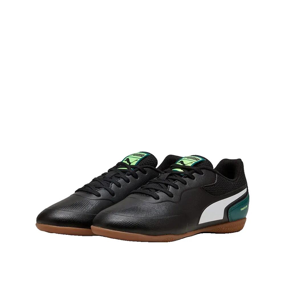 PUMA picture