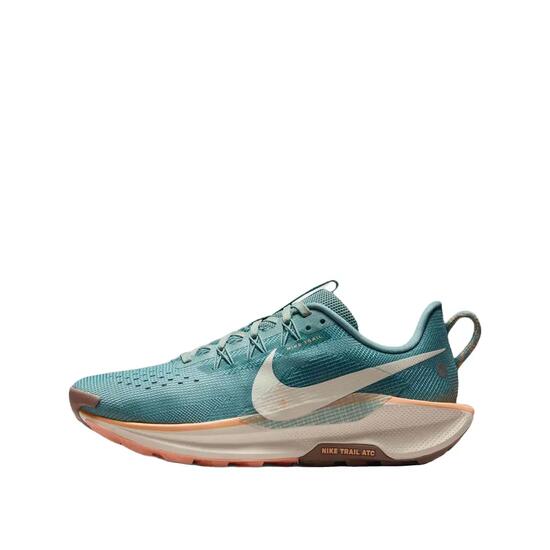 Zapatillas de trail Nike Pegasus Trail 5 Multicolor