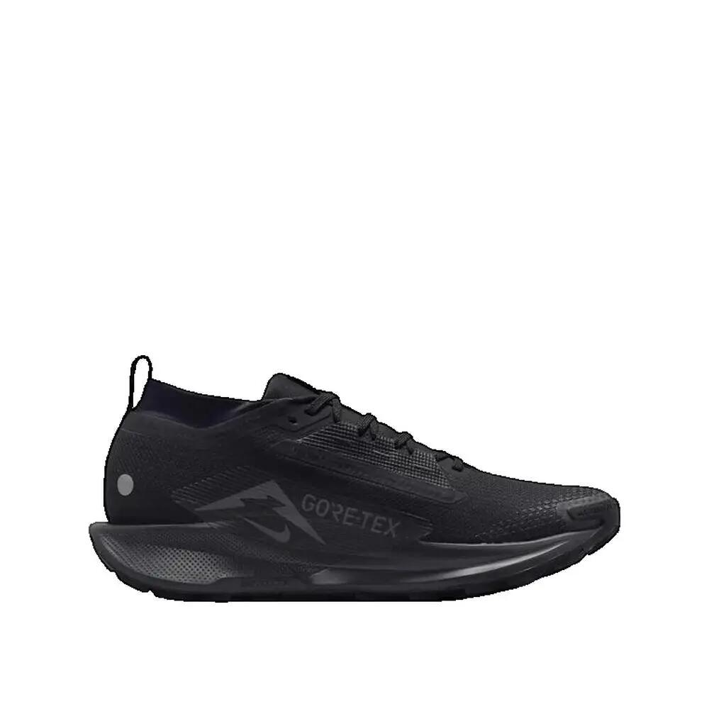 Buty biegowe Nike Pegasus Trail 5 GTX Czarny