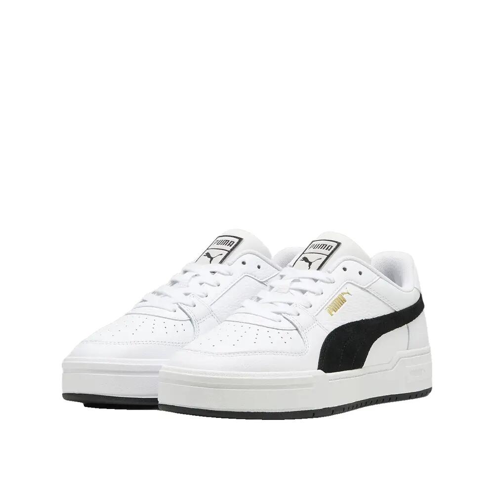 PUMA picture