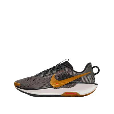 Scarpe da trail Nike Pegasus Trail 5 Multicolor