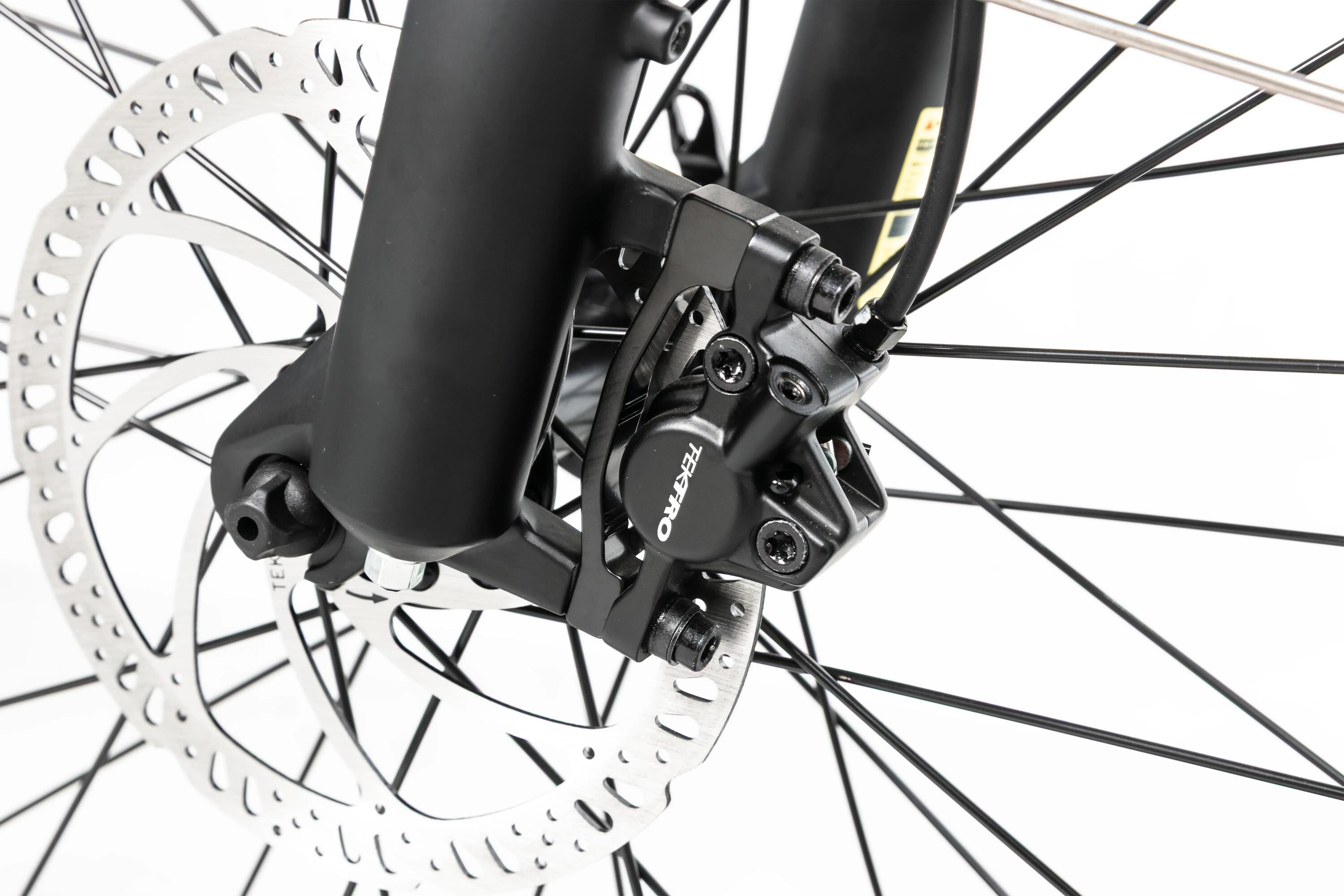 Vélo électrique pour adultes JOBOBIKE ROBIN PRO ST-F33, 48 V 17,5 Ah 4/4
