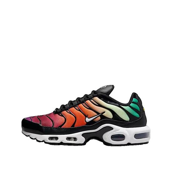 Chaussures Nike Air Max Plus Multicolores