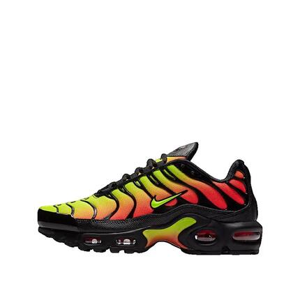 Chaussures universel femmes Nike Wmns Air Max Plus Tn Se