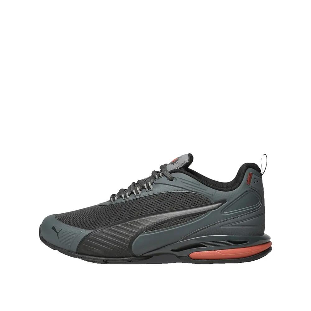PUMA picture