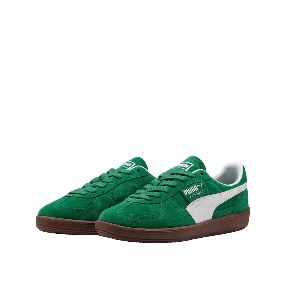 PUMA picture