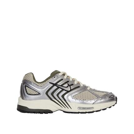 Chaussures Nike Air Pegasus 2005 Beige/Argent