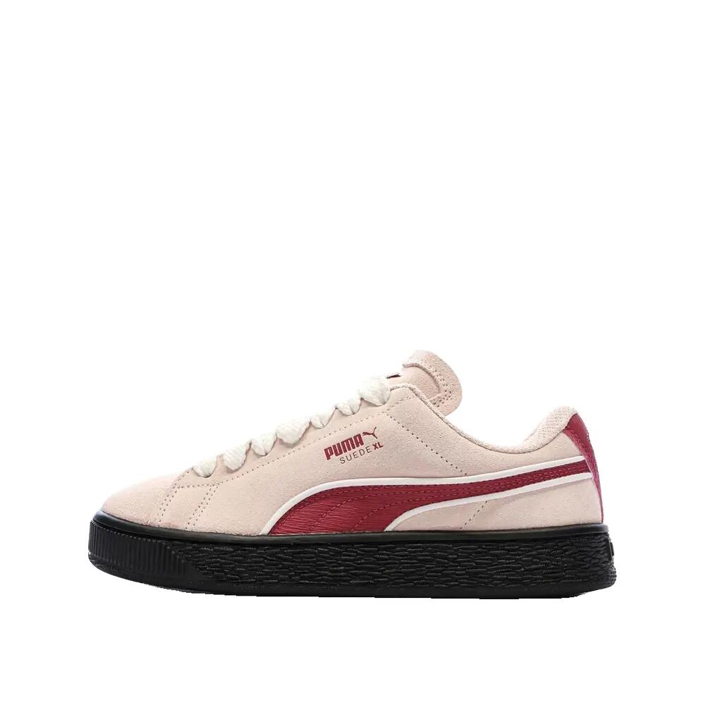 PUMA picture