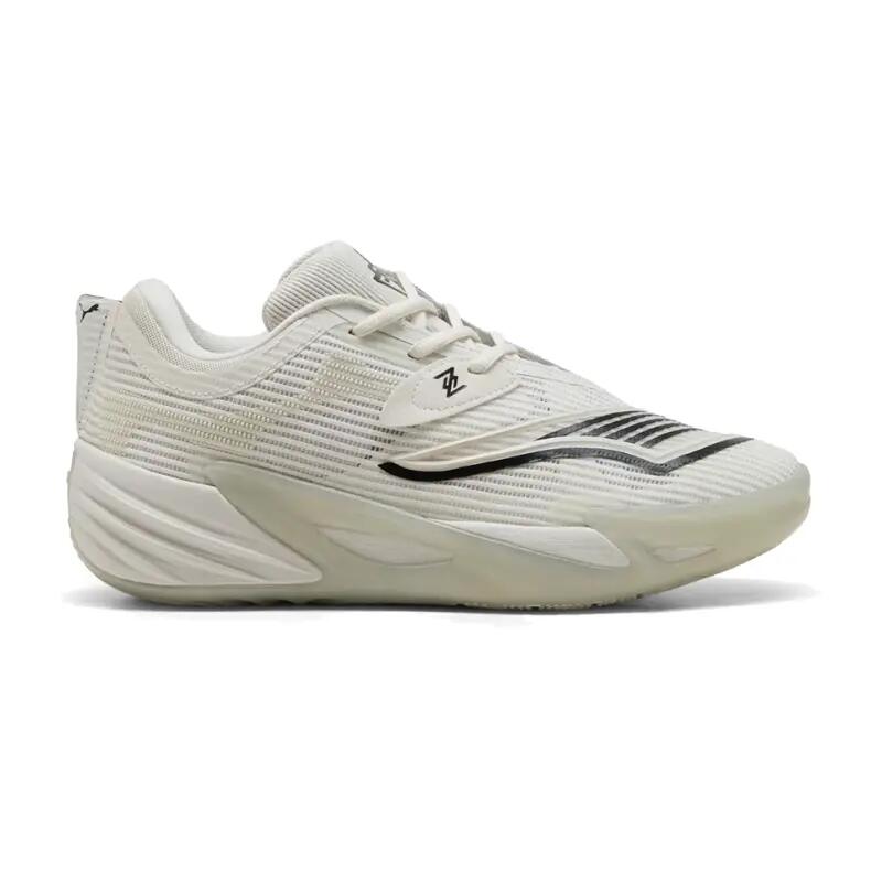 PUMA picture