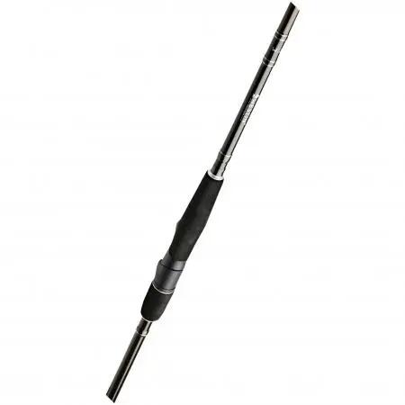 Westin W2 SBass M 2,70m 9-35g - Spinnrute 2/5