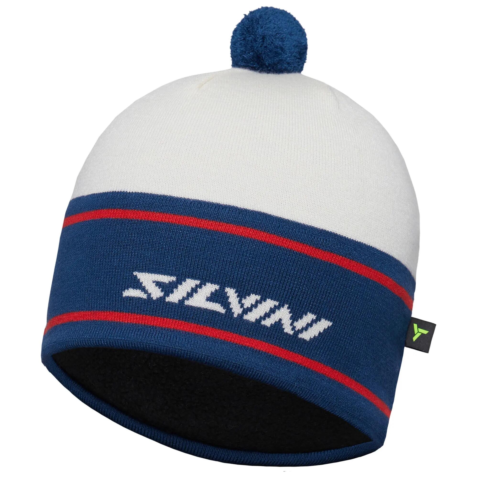 SILVINI picture