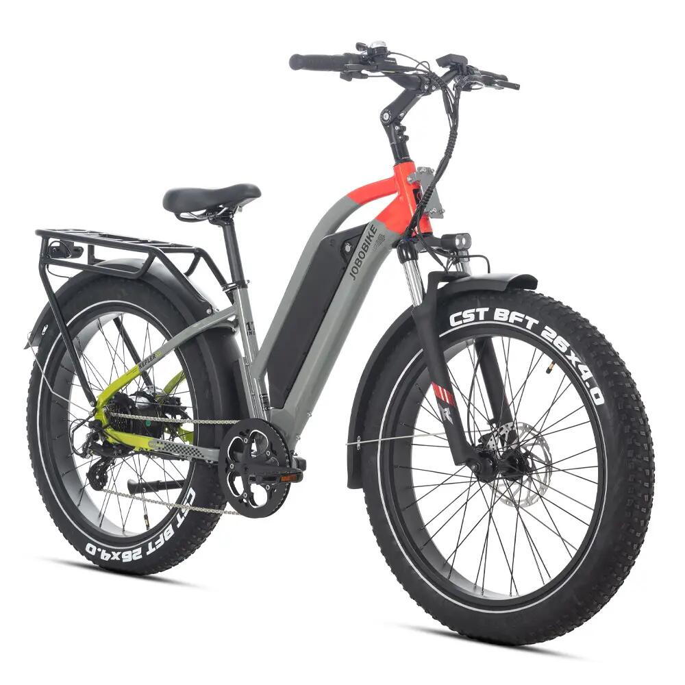 JOBOBIKE picture