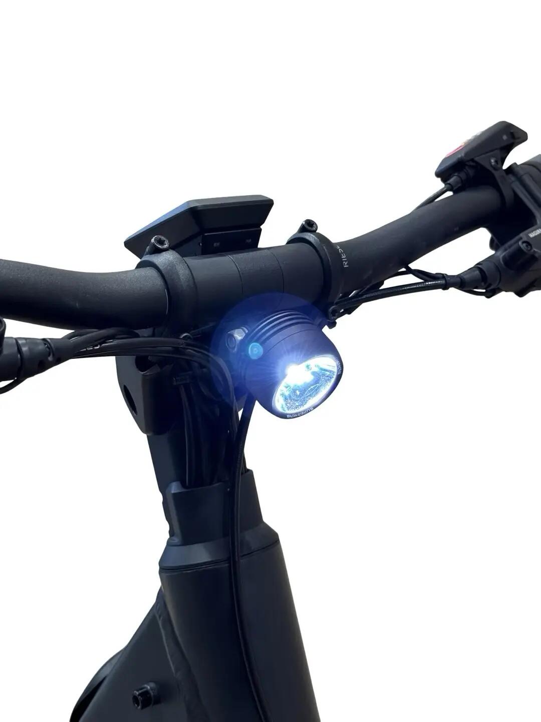 Segunda Vida- bicicleta eléctrica Riese & Müller Nevo4 GT Vario ABS - Como nuevo 4/13