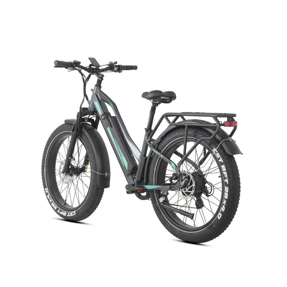 Vélo électrique pour adultes JOBOBIKE ROBIN PRO ST-F33, 48 V 17,5 Ah 1/4