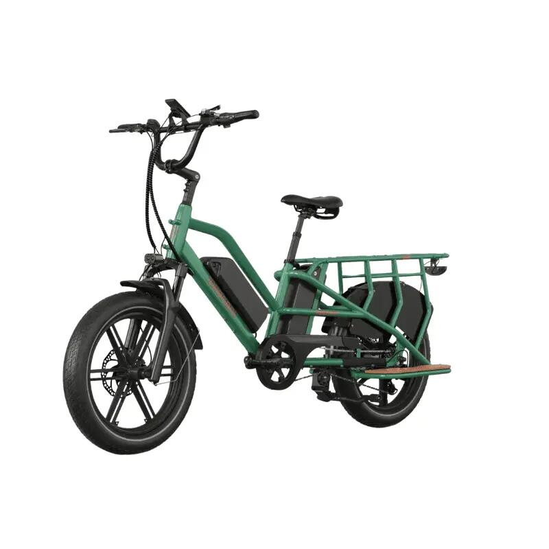 Bicicletă electrică cargo JOBOBIKE Transer, 48V 13Ah, cu baterie dublă