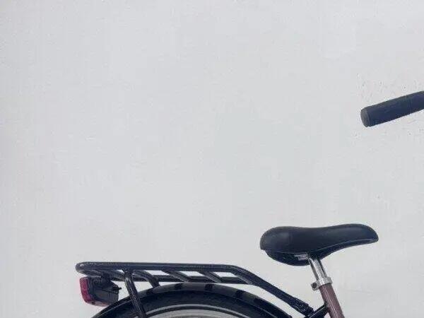 Second Life - Gereviseerd Popal Transportfiets | Gebruikt | 3 maanden garantie 2/5