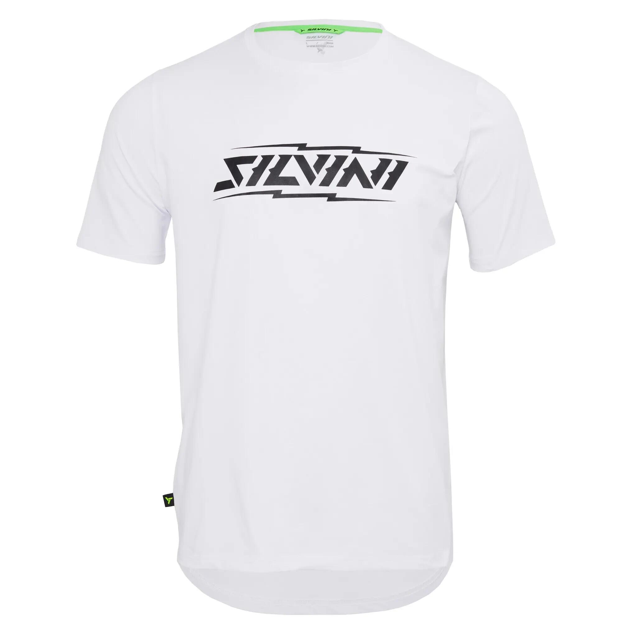 SILVINI picture