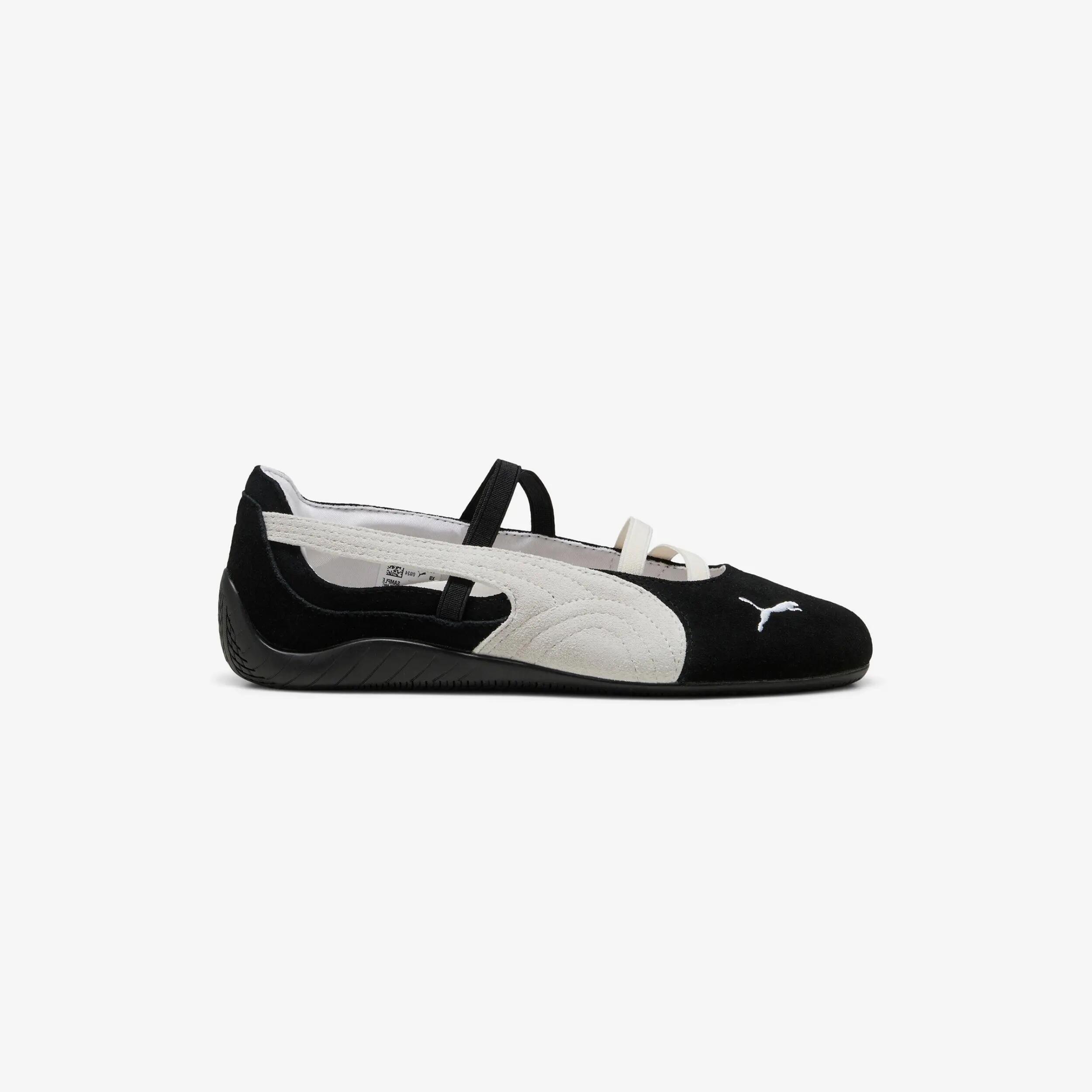 PUMA picture