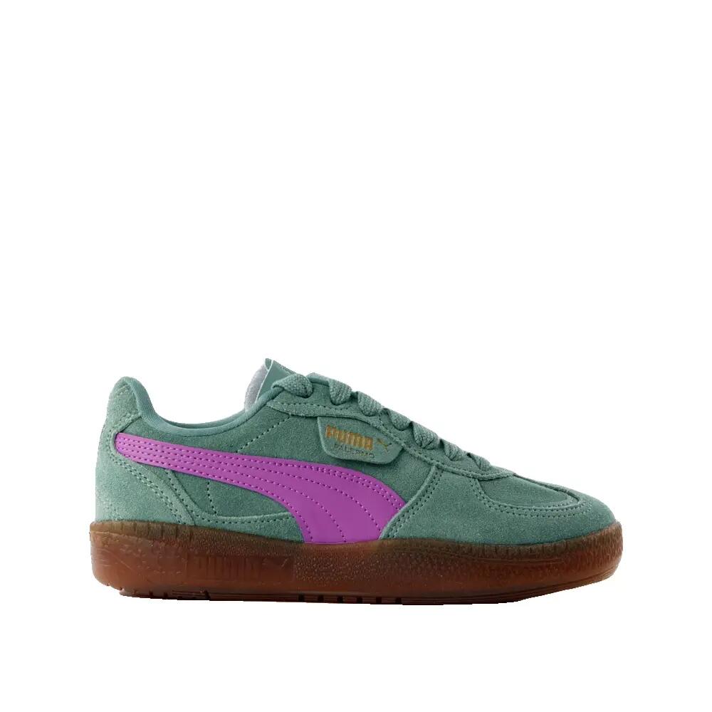 PUMA picture