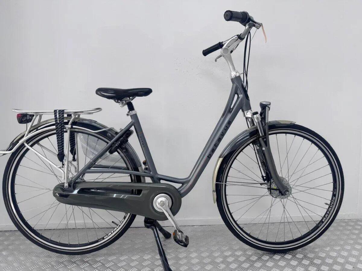 BATAVUS picture