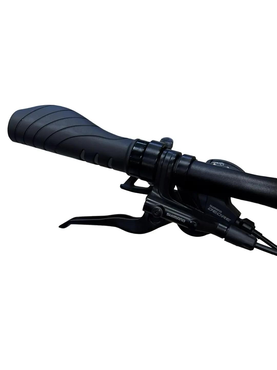 Ricondizionata - Bici elettriche Winora Sinus IX10 Shimano - Stato eccellente 5/15