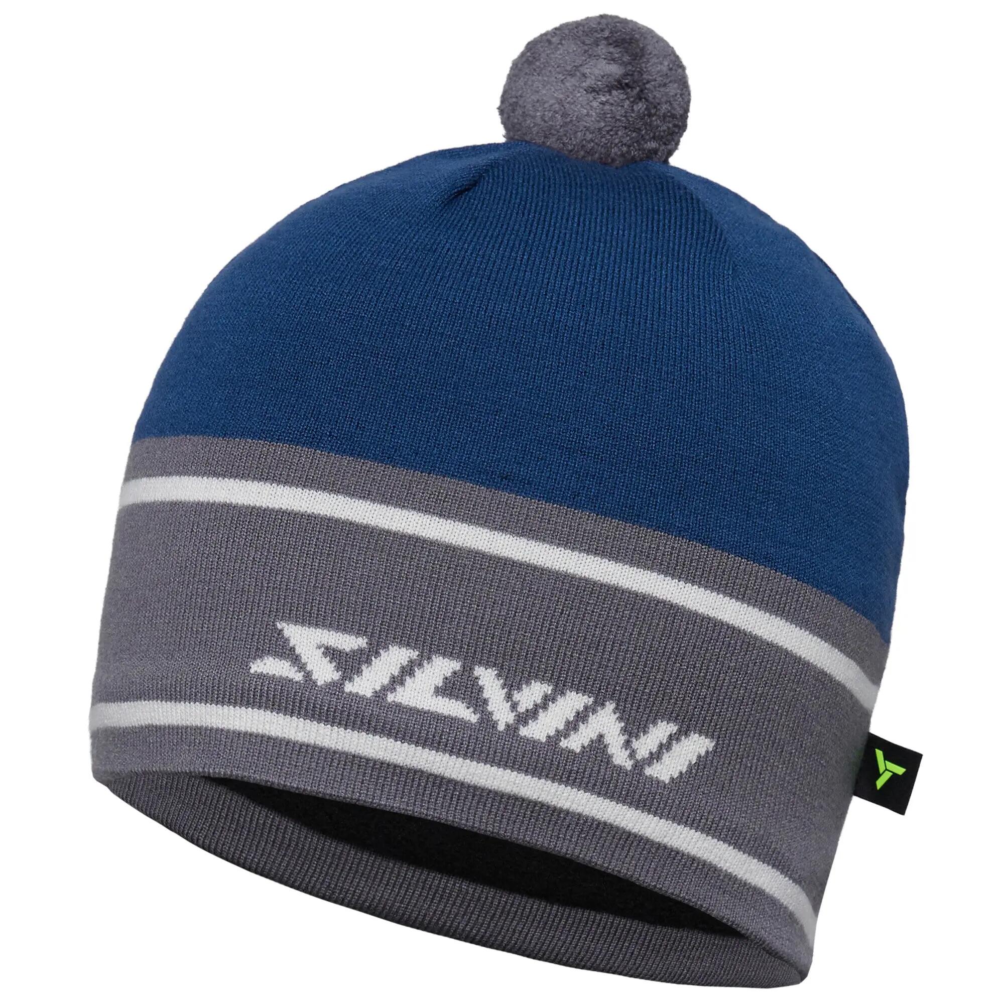 SILVINI picture