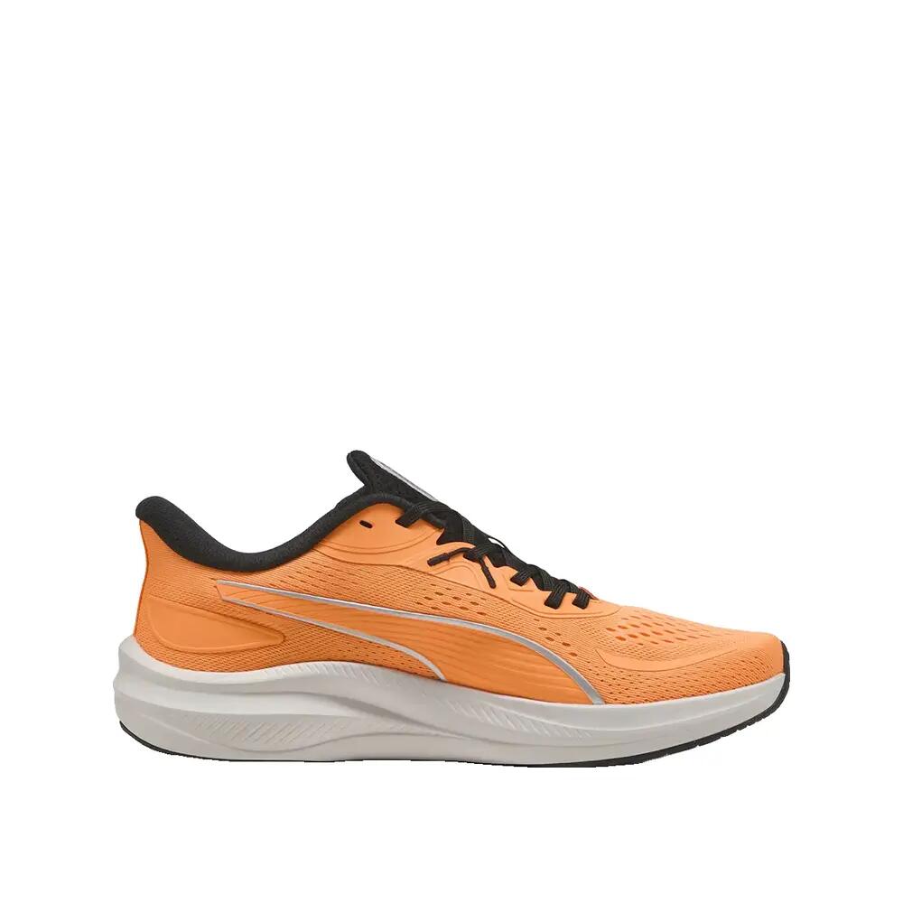 PUMA picture