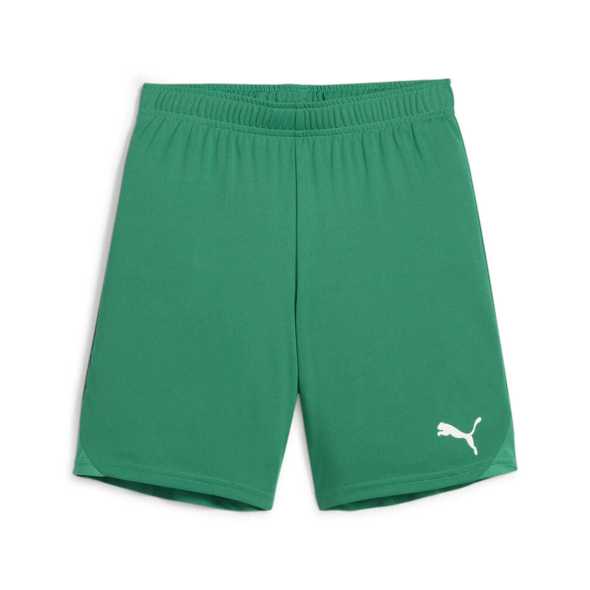 Szorty Puma TeamGoal 6/9