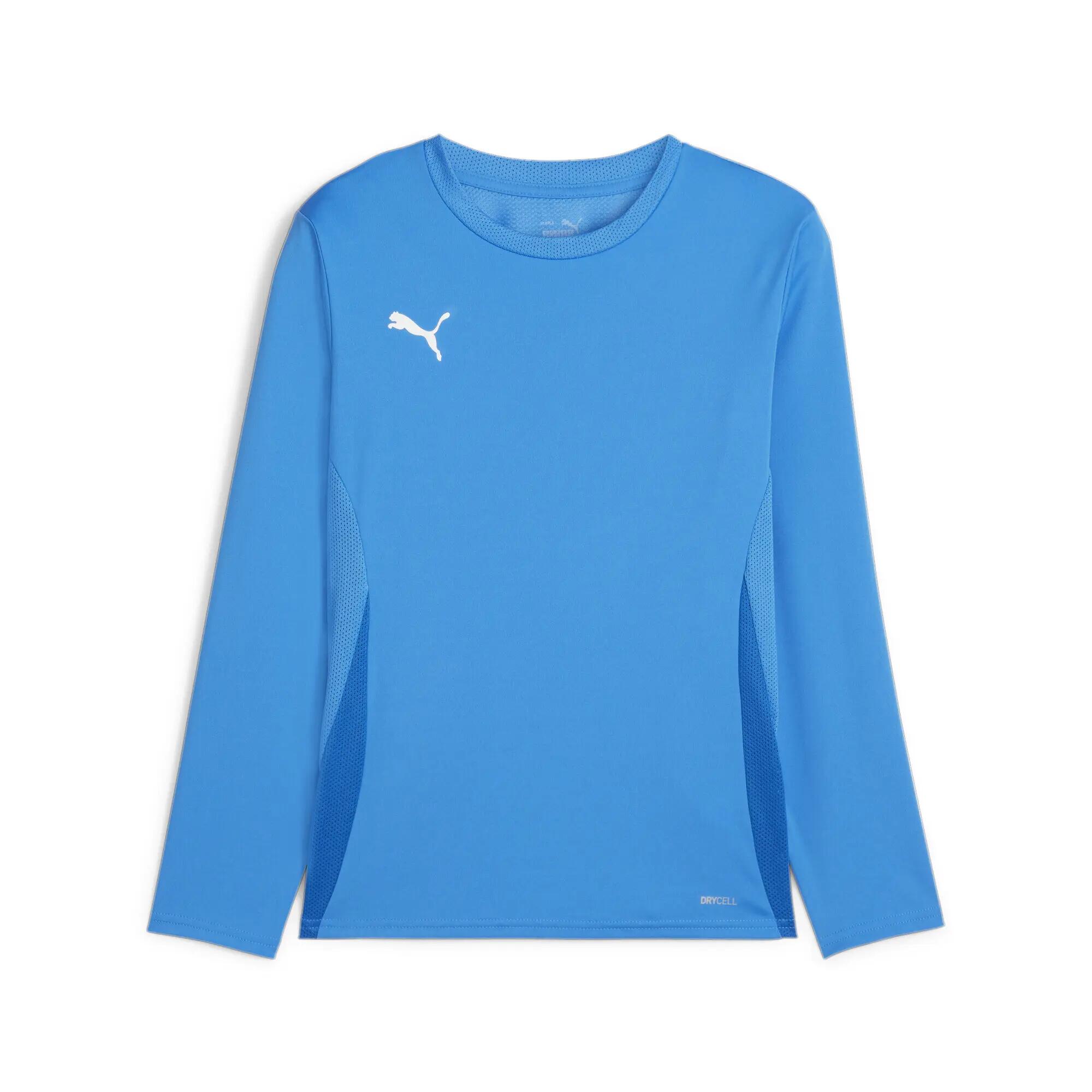 Maillot manches longues Puma TeamGoal 6/9