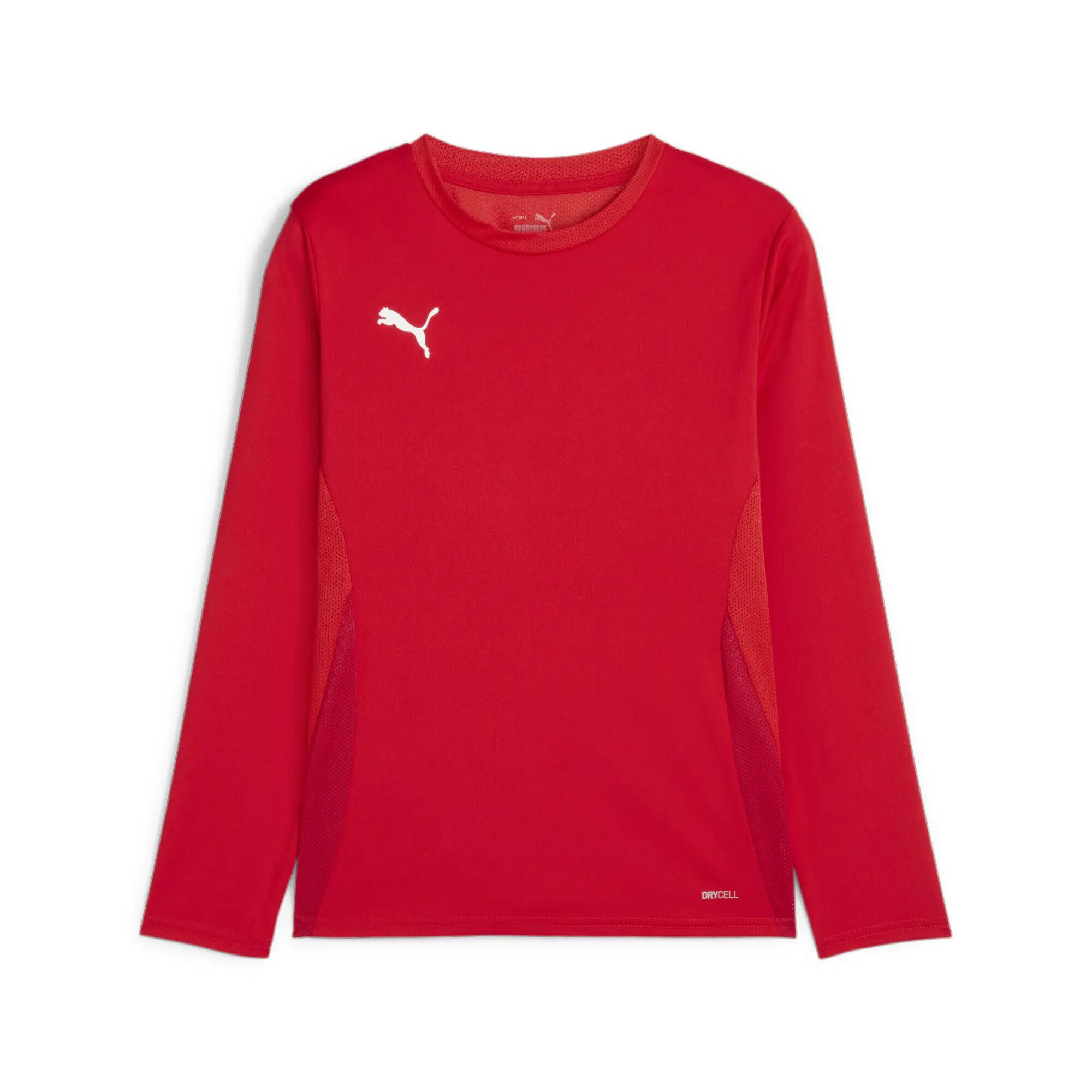 Maillot manches longues Puma TeamGoal 5/9