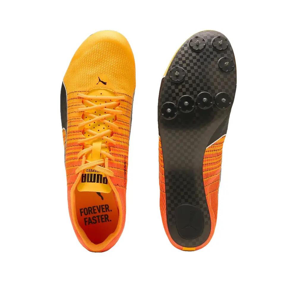 Hardloopschoenen Puma evoSPEED Future Faster+ 4 Oranje 6/6