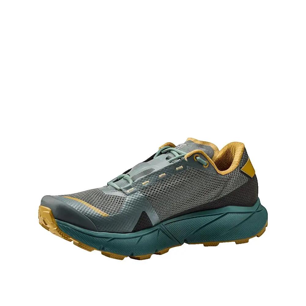 Hardloopschoenen Dynafit Ultra 100 GTX Grijs 3/5