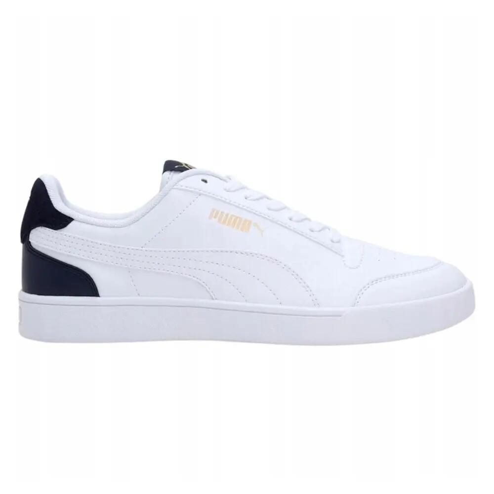 PUMA picture