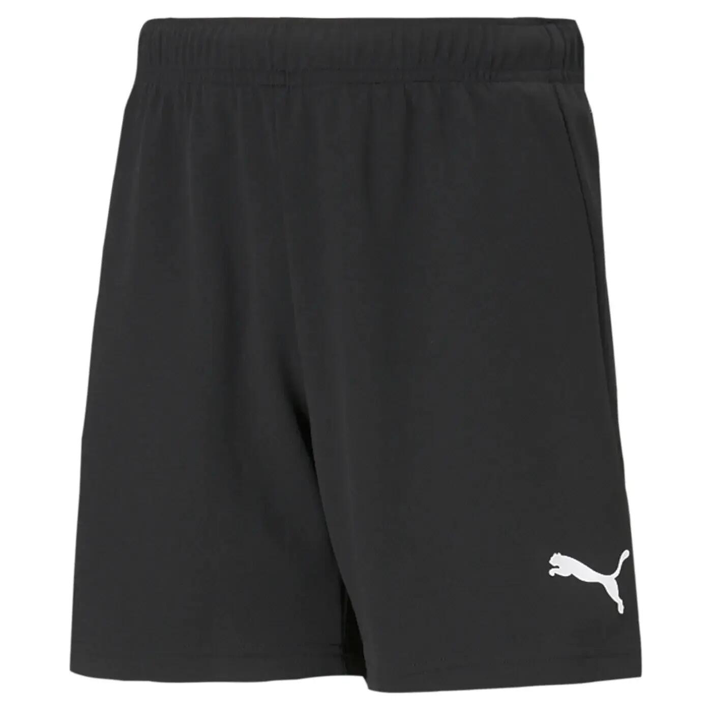 PUMA picture