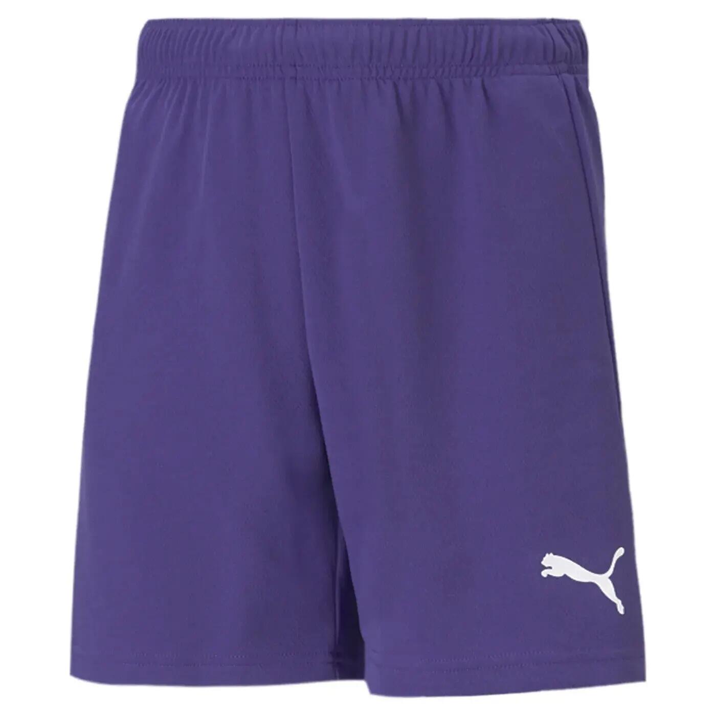 PUMA picture