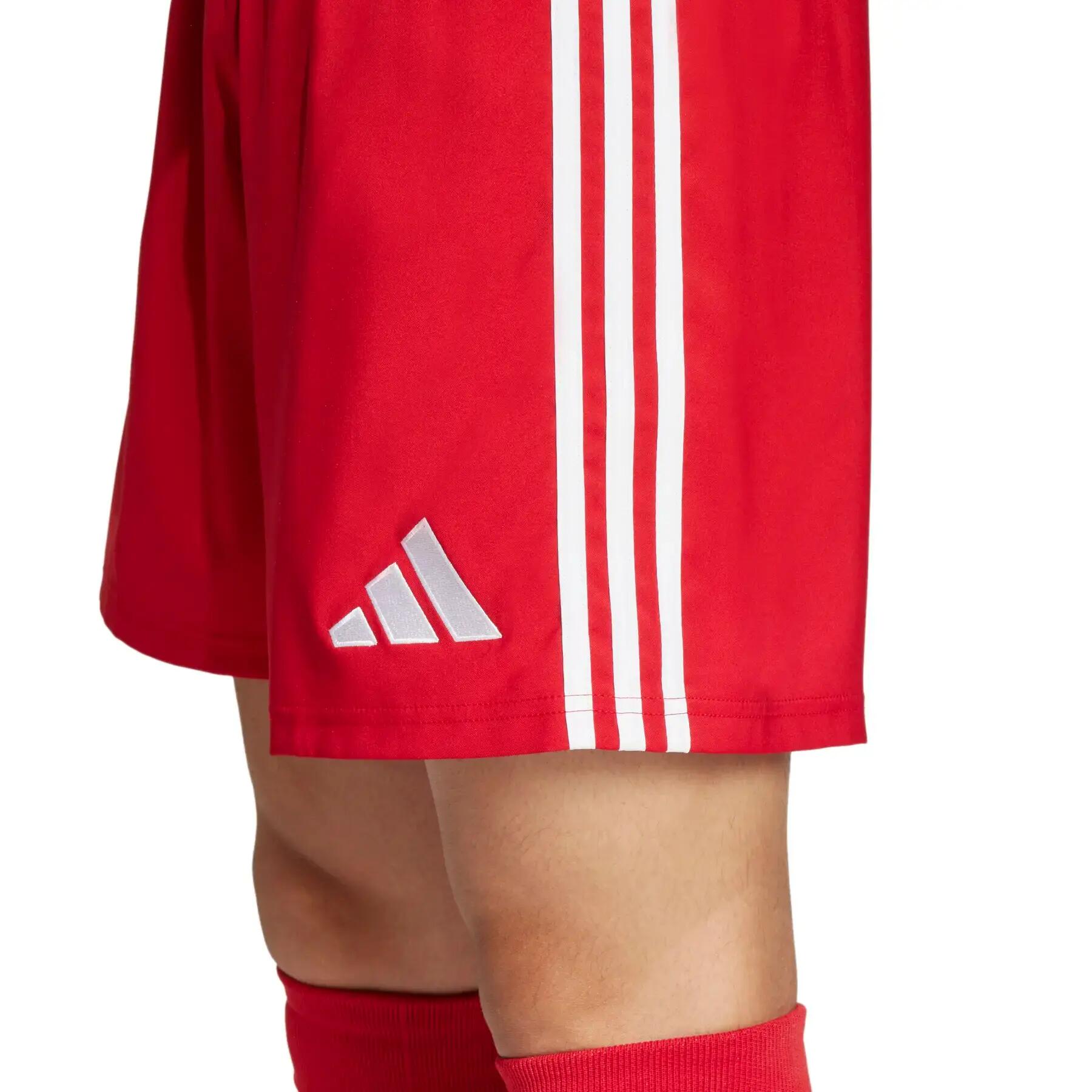 Shorts adidas Tastigo 25 6/9