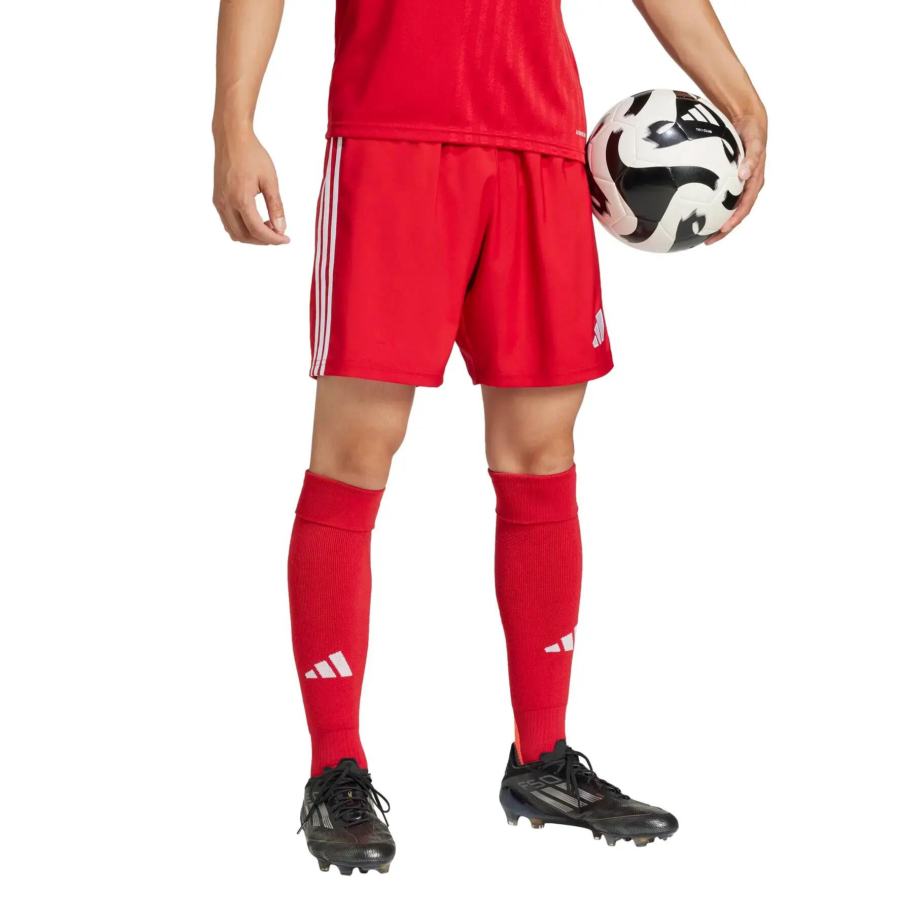 Shorts adidas Tastigo 25 4/9