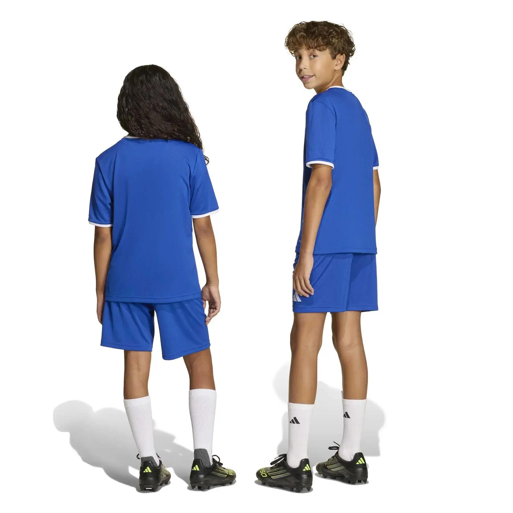 Short football enfants - respirant, durable - Entrada 26 - Royal 6/12